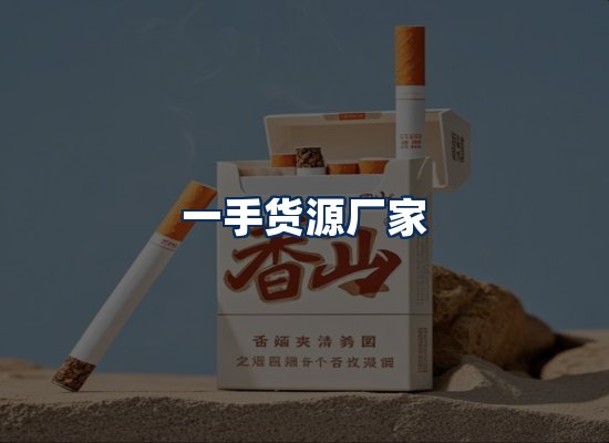 专业团队办公环境